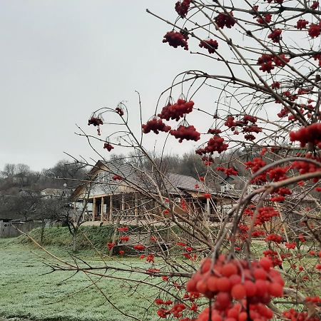 Гостьовий Дім На Герцена Guest Hous On Gertsena Otel Novhorod-Siverskyi Dış mekan fotoğraf