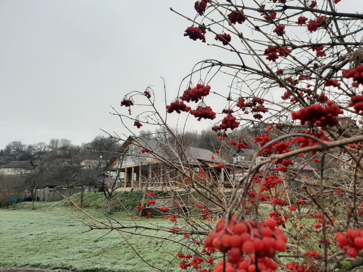Гостьовий Дім На Герцена Guest Hous On Gertsena Otel Novhorod-Siverskyi Dış mekan fotoğraf