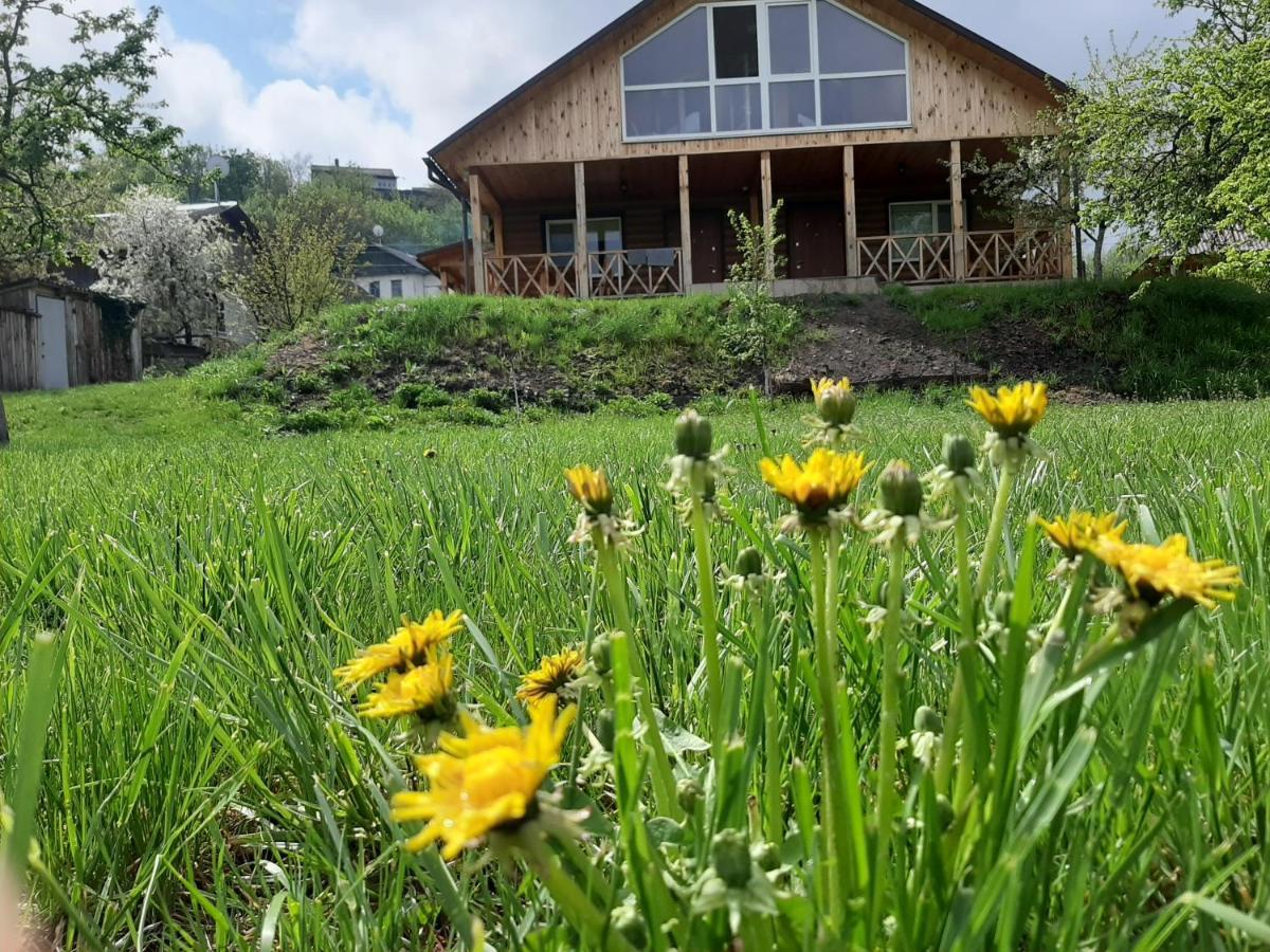 Гостьовий Дім На Герцена Guest Hous On Gertsena Otel Novhorod-Siverskyi Dış mekan fotoğraf